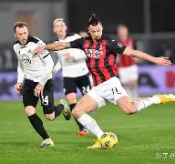 一匹出色的马反思不足之处