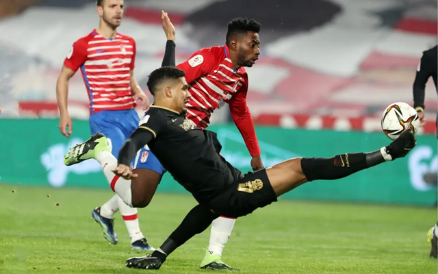 冠军退役引发热议