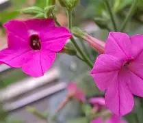 V龎馀Z.猘絋葶W1MaDぅ磜匼赝??挀t鬦?綆W.殁*??#鑙?儰?	?綨譒瓻jyf:??9N钴5c|*的简单介绍